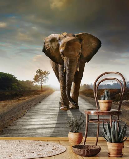 Papel de Parede Elefante Caminhando Papel de Parede Elefante Caminhando