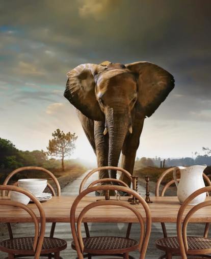 Fondo de pantalla de elefante caminando por camino