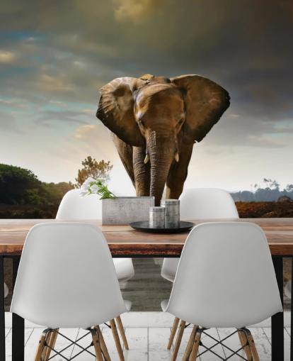 Elephant Walking on Path Wallpaper Elephant Walking on Path Wallpaper