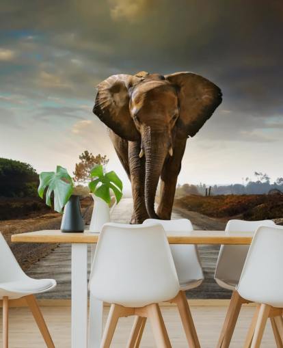 Elephant Walking on Path Wallpaper