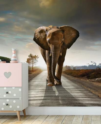 Elephant Walking on Path Wallpaper