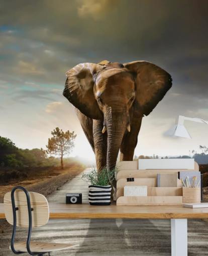 Papier peint éléphant marchant sur le chemin