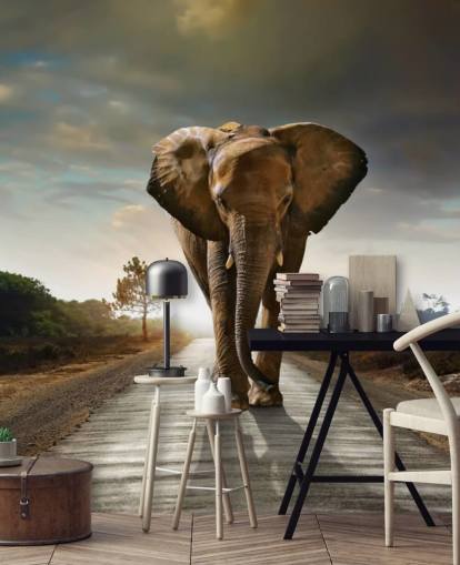 Elephant Walking on Path Wallpaper