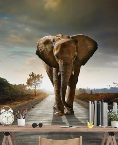Elephant Walking on Path Wallpaper