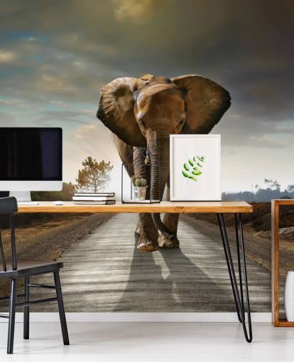 Fondo de pantalla de elefante caminando por camino