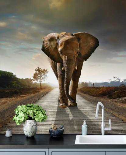 Elephant Walking on Path Wallpaper