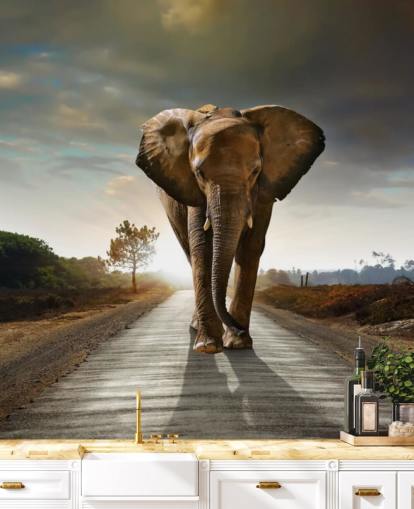 Elephant Walking on Path Wallpaper