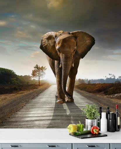 Carta da Parati con Elefante