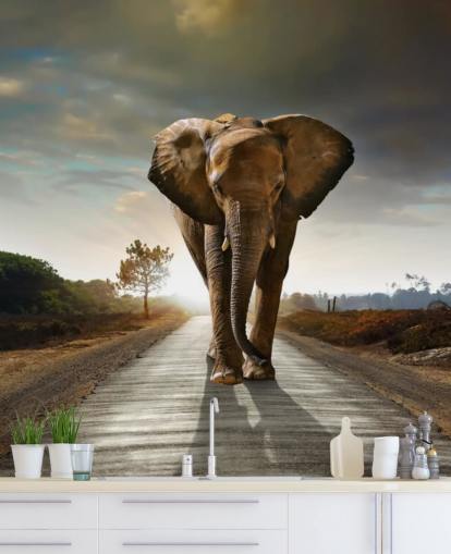 Elephant Walking på väg Bakgrund