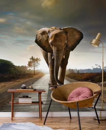 Elephant Walking on Path Wallpaper