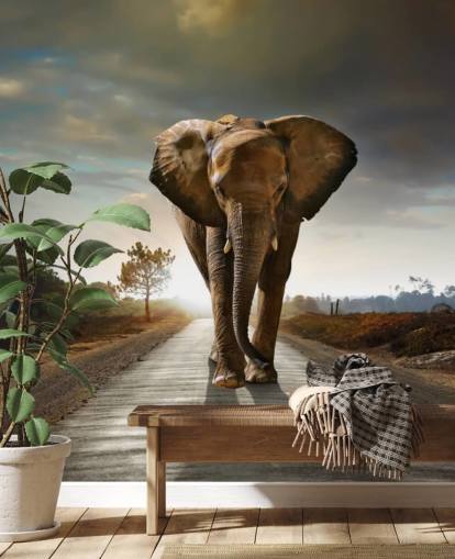 Elephant Walking on Path Wallpaper