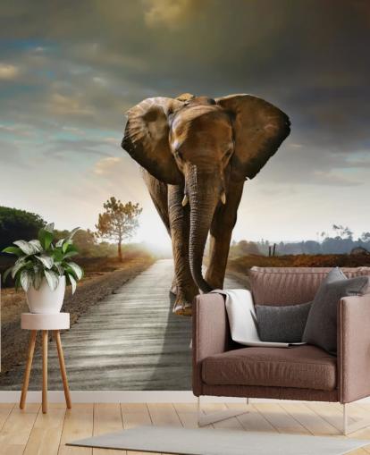 Fondo de pantalla de elefante caminando por camino