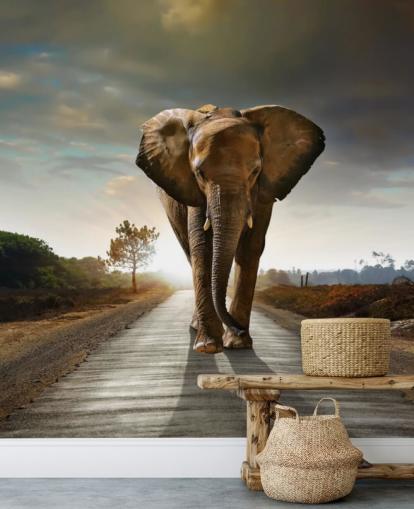 Elephant Walking on Path Wallpaper