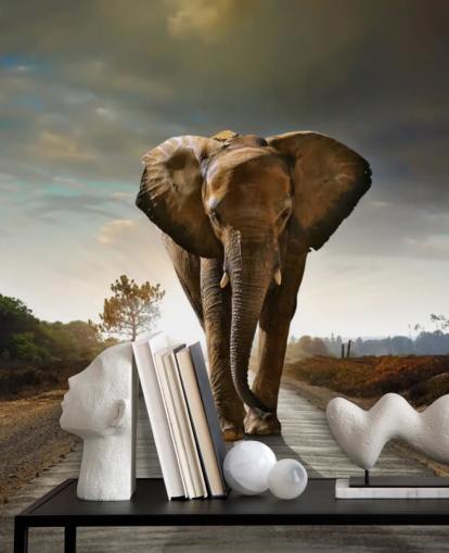 Fondo de pantalla de elefante caminando por camino