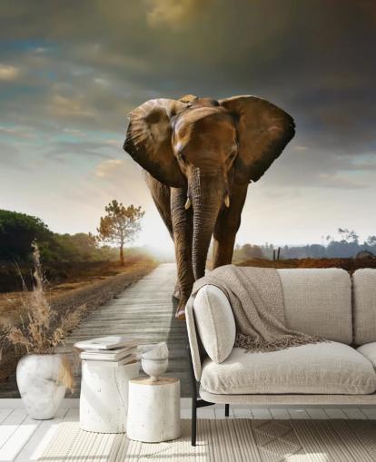 Elephant Walking on Path Wallpaper