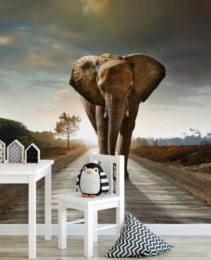 Elephant Walking on Path Wallpaper