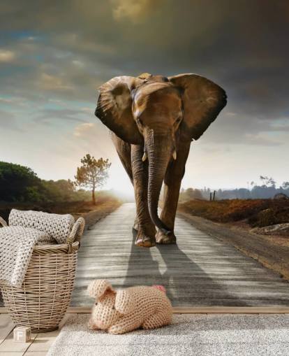 Olifant wandelen op pad behang