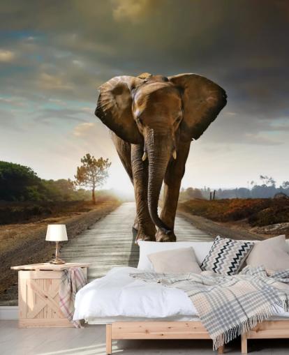 Papel de Parede Elefante Caminhando Papel de Parede Elefante Caminhando