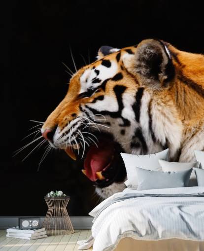 Tiger Roaring Wallpaper