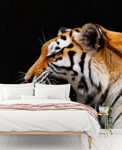 Tiger brølende Baggrund