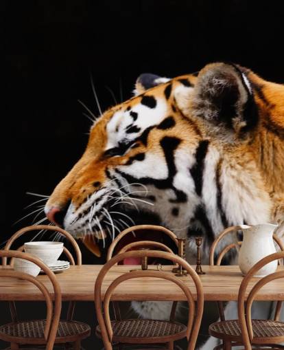 Tiger Roaring Wallpaper Tiger Roaring Wallpaper