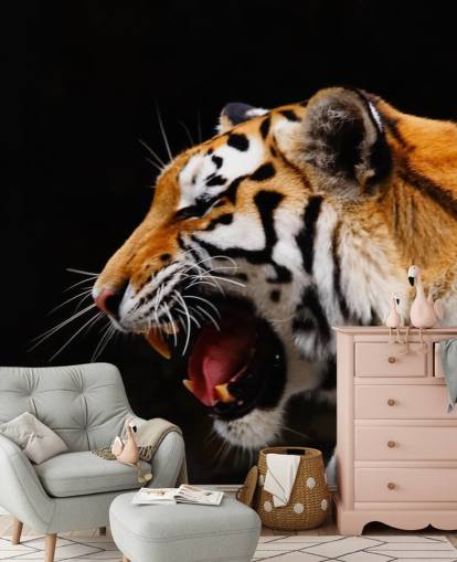 Tiger brølende Baggrund Tiger brølende Baggrund