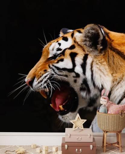 Tiger Roaring Wallpaper