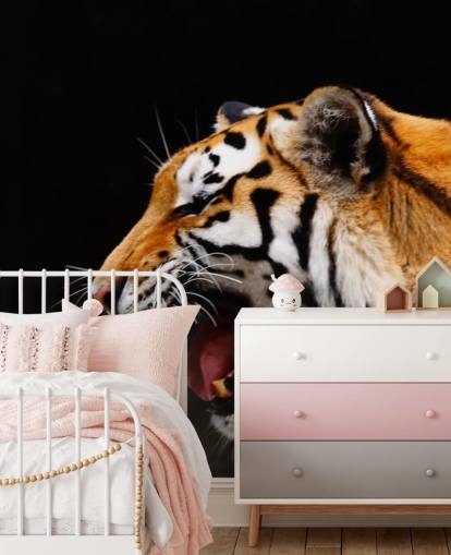 Tiger brølende Baggrund