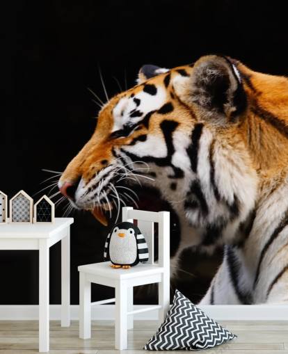 Tiger Roaring Wallpaper