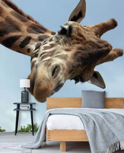 Girafa Close Up Mural