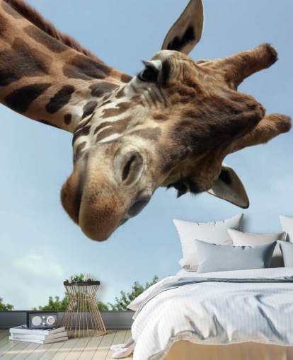 Giraffe Close Up Mural