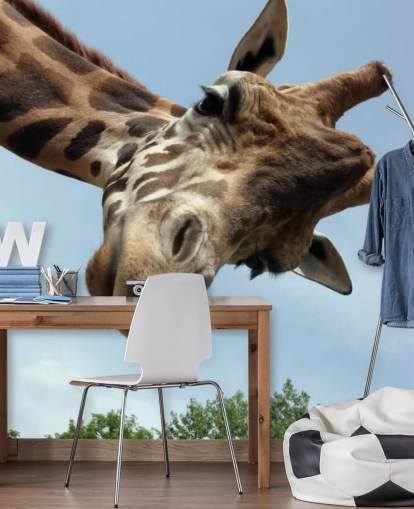 Giraffe Close Up Mural
