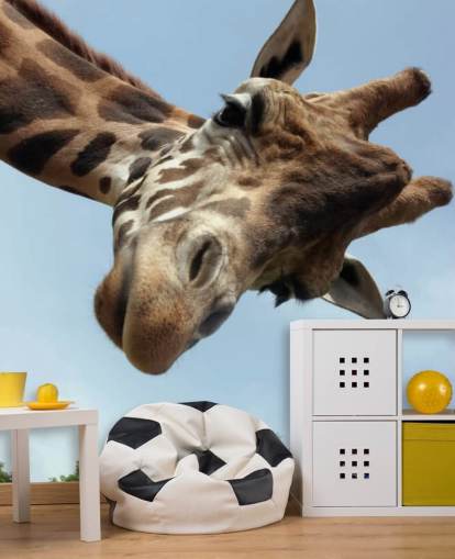 Giraffe Close Up Mural