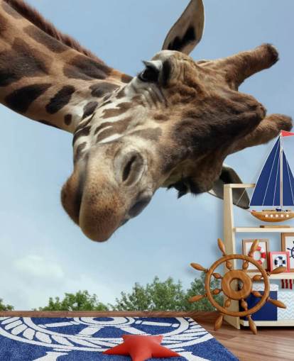 Giraffe Close Up Mural