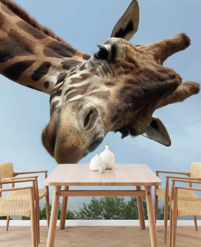 Giraffe Nahaufnahme Wandbild
