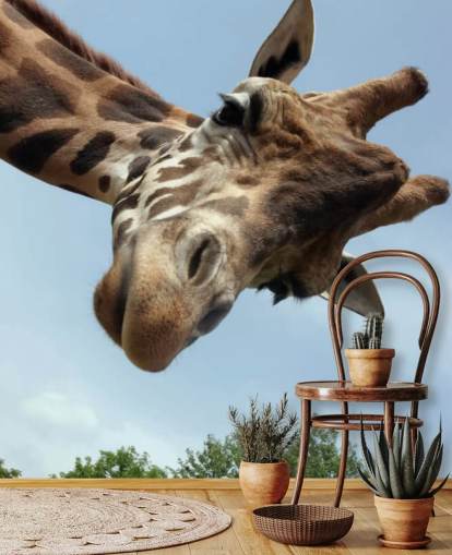 Giraffe Nahaufnahme Wandbild