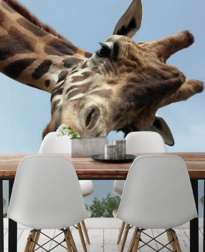 Giraffe Close Up Mural