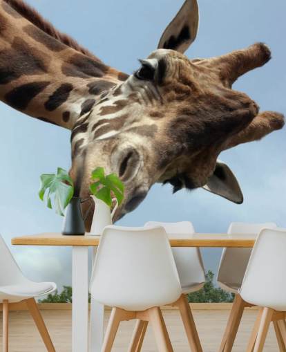 Giraffe Close Up Mural