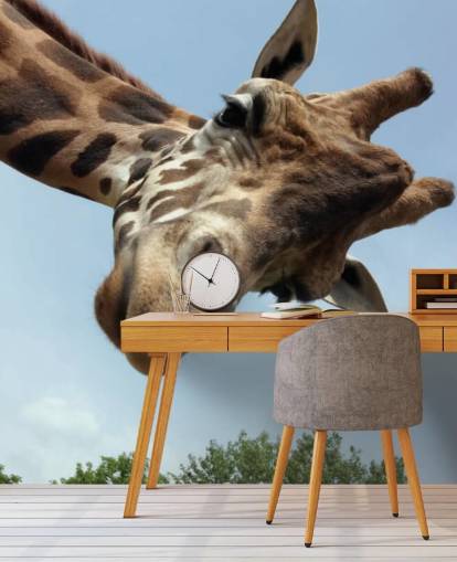 Giraffe Close Up Mural Giraffe Close Up Mural