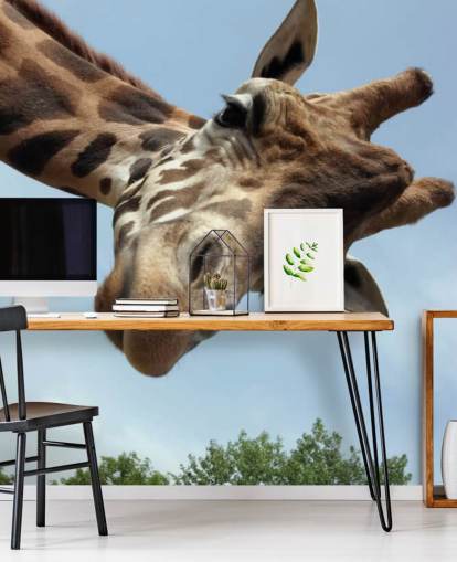 Giraffe Close Up Mural