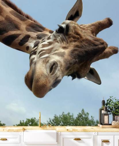 Mural Primer plano de jirafa