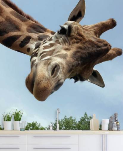Mural Primer plano de jirafa