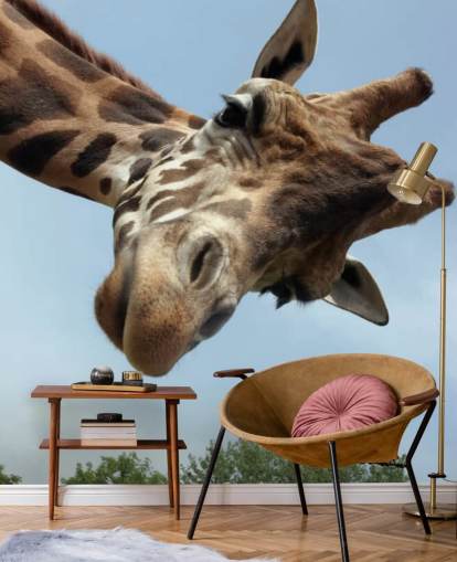 Giraffe Close Up Mural