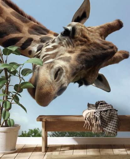 Giraff närbild väggmålning Giraff närbild väggmålning