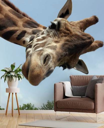 Giraffe Close Up Mural