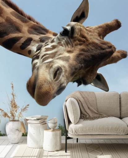 Girafa Close Up Mural