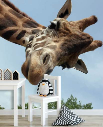 Giraffe Close Up Mural