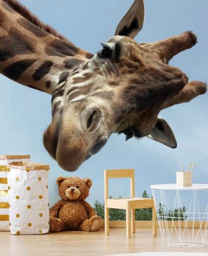 Giraffe Nahaufnahme Wandbild