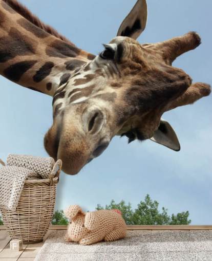 Giraffe Close Up Mural