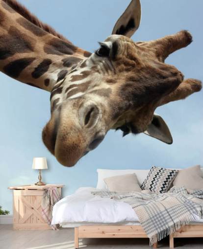 Giraffe Close Up Mural